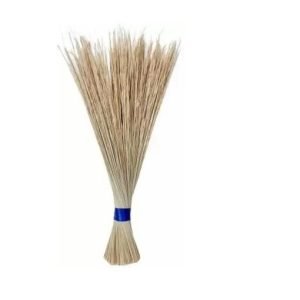 Broom (Willow)
