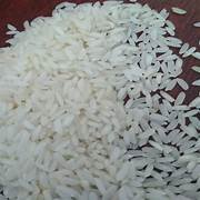 Rice Short Grain